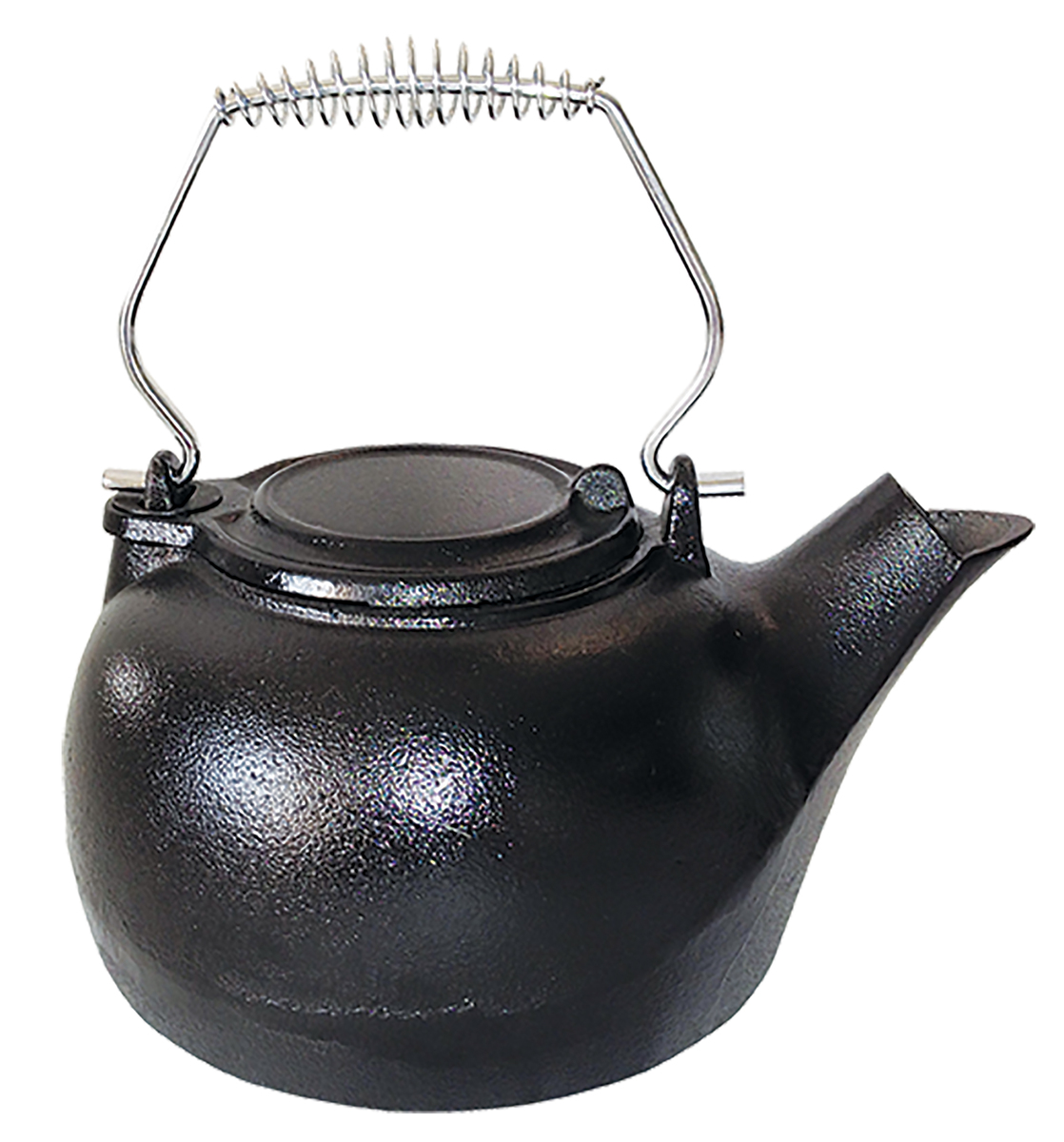 TK-02 Cast Iron 3 qt Tea Kettle